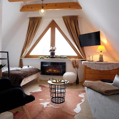 Apartament Ryllowka Z Widokiem Na Gory Закопане Екстер'єр фото