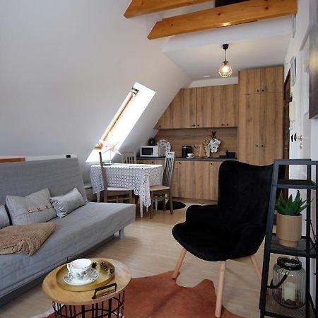 Apartament Ryllowka Z Widokiem Na Gory Закопане Екстер'єр фото