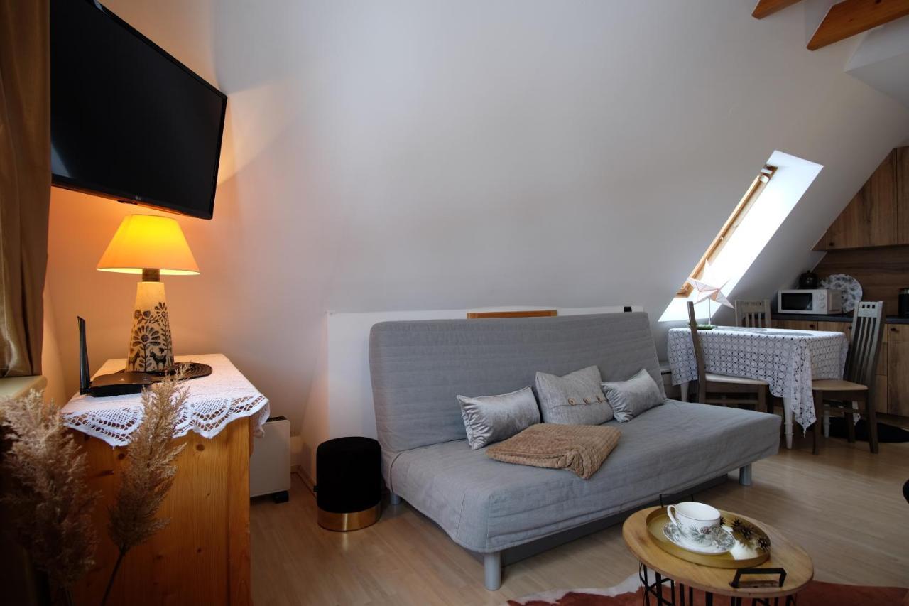 Apartament Ryllowka Z Widokiem Na Gory Закопане Екстер'єр фото