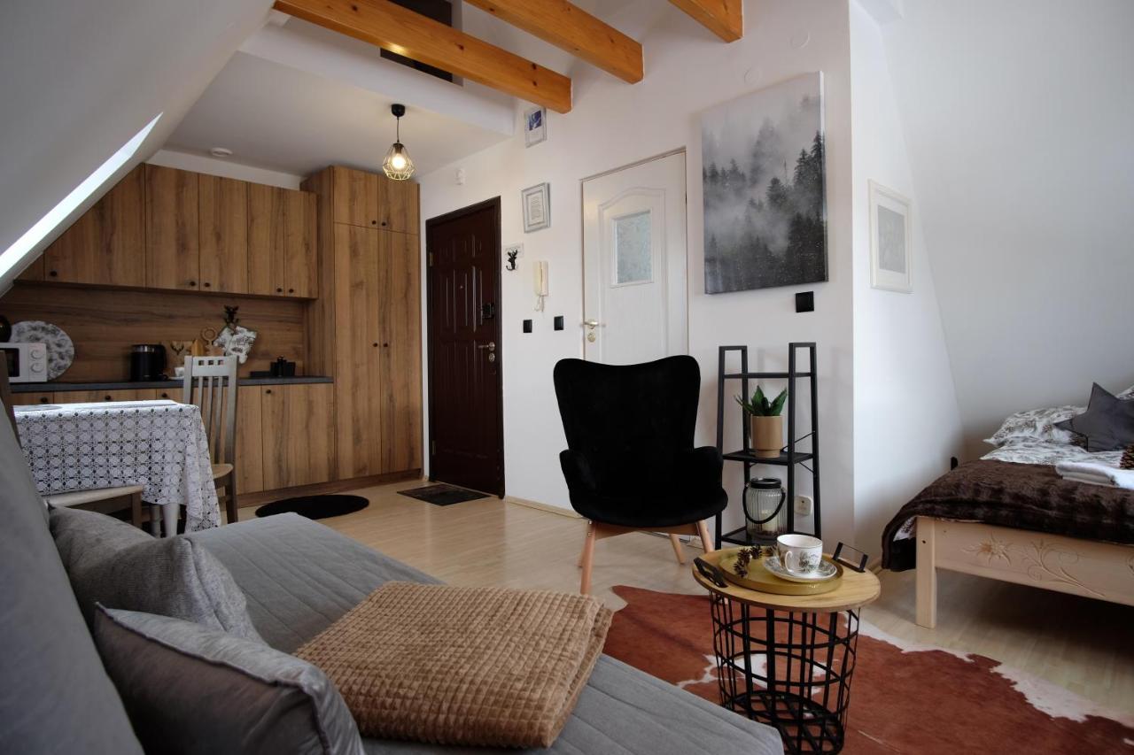 Apartament Ryllowka Z Widokiem Na Gory Закопане Екстер'єр фото